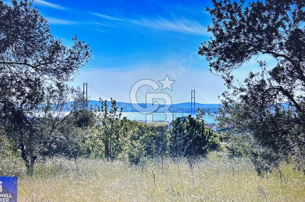 Çanakkale Lapseki Cumhuriyet Mahallesinde Boğaz Manzaralı Tarla