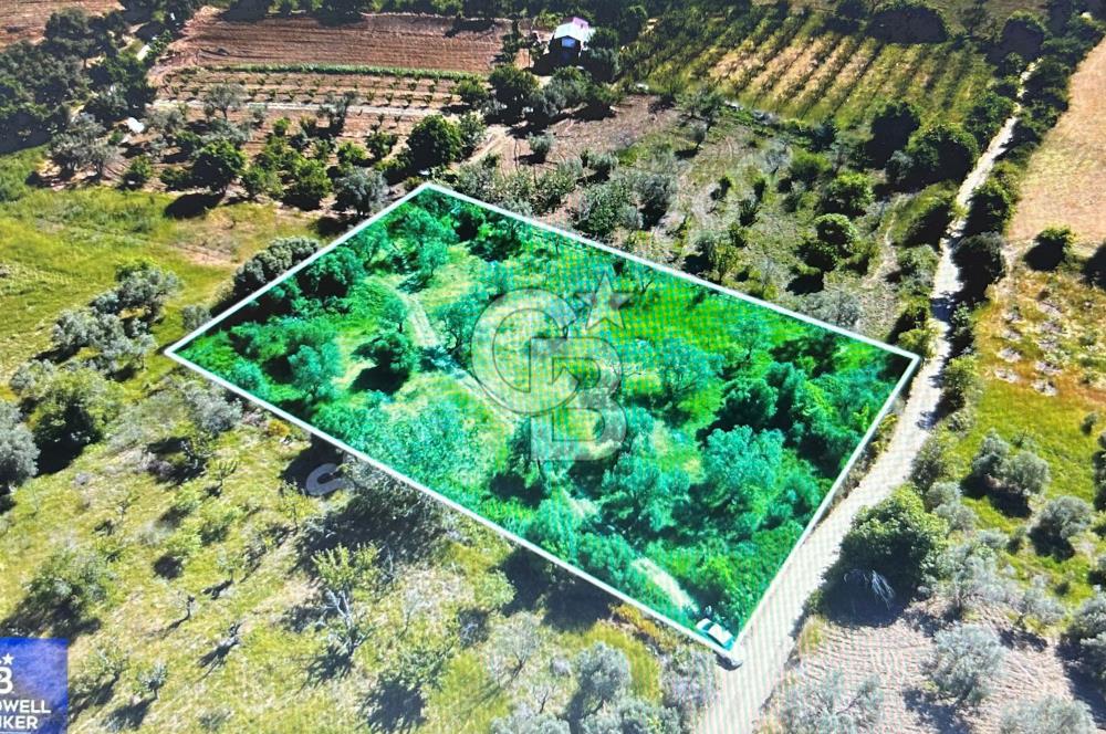 Çanakkale Lapseki Cumhuriyet Mahallesinde Boğaz Manzaralı Tarla