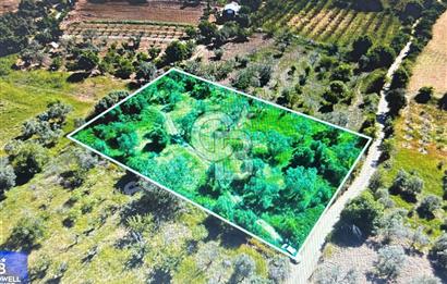 Çanakkale Lapseki Cumhuriyet Mahallesinde Boğaz Manzaralı Tarla