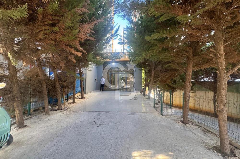 Yenişehir Çiftlikköy Eşyalı Satılık 1+1 Daire