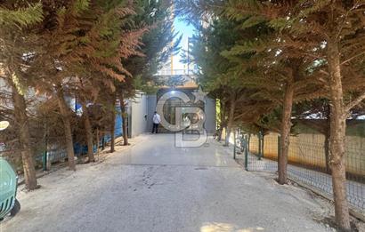 Yenişehir Çiftlikköy Eşyalı Satılık 1+1 Daire