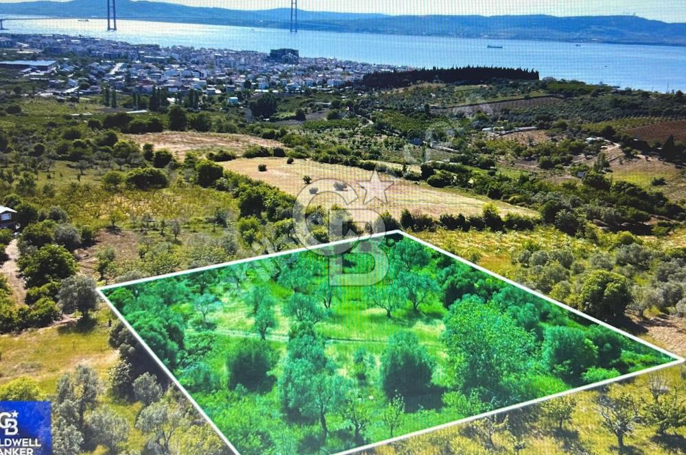 Çanakkale Lapseki Cumhuriyet Mahallesinde Boğaz Manzaralı Tarla