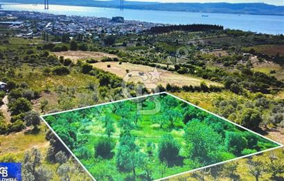 Çanakkale Lapseki Cumhuriyet Mahallesinde Boğaz Manzaralı Tarla