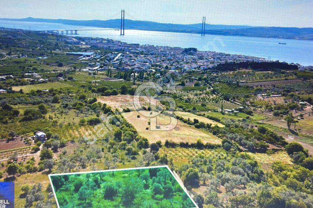 Çanakkale Lapseki Cumhuriyet Mahallesinde Boğaz Manzaralı Tarla