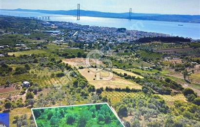 Çanakkale Lapseki Cumhuriyet Mahallesinde Boğaz Manzaralı Tarla
