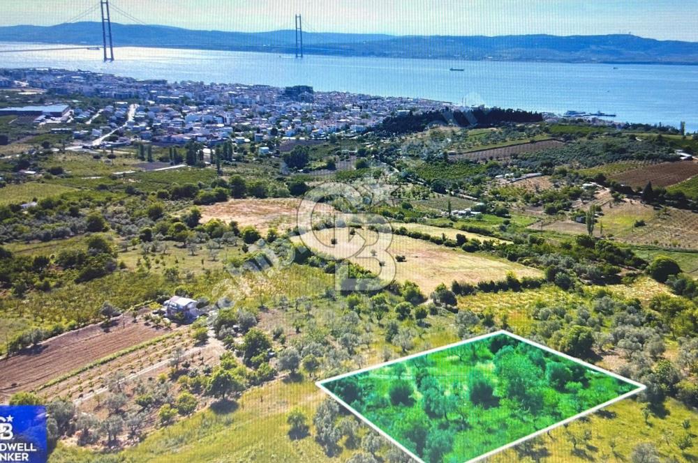 Çanakkale Lapseki Cumhuriyet Mahallesinde Boğaz Manzaralı Tarla