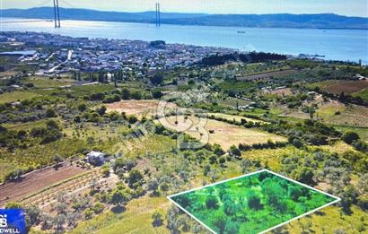 Çanakkale Lapseki Cumhuriyet Mahallesinde Boğaz Manzaralı Tarla