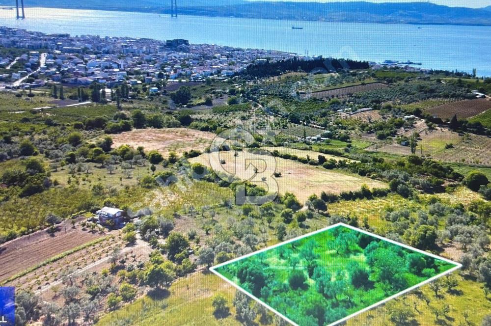 Çanakkale Lapseki Cumhuriyet Mahallesinde Boğaz Manzaralı Tarla