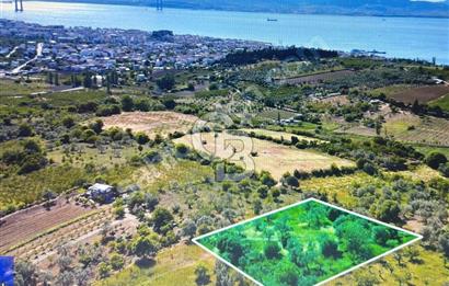 Çanakkale Lapseki Cumhuriyet Mahallesinde Boğaz Manzaralı Tarla