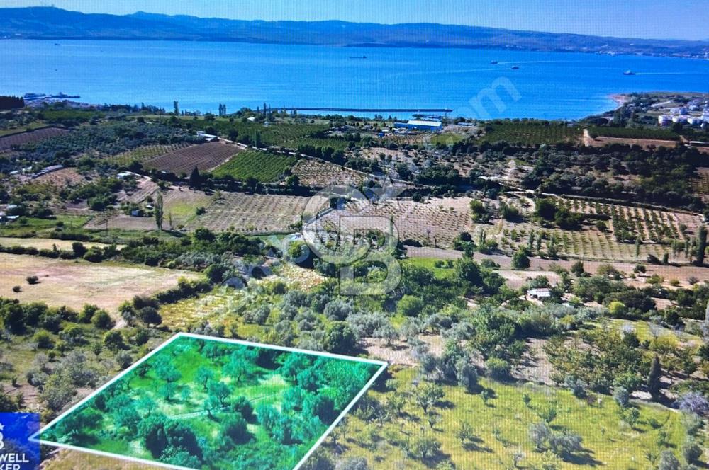 Çanakkale Lapseki Cumhuriyet Mahallesinde Boğaz Manzaralı Tarla