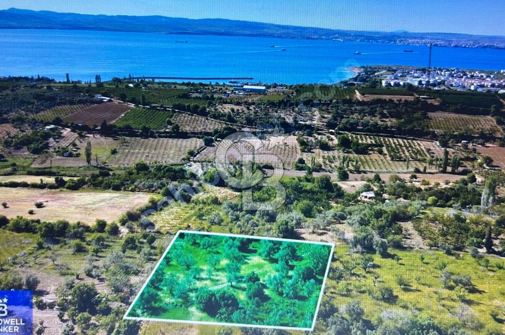 Çanakkale Lapseki Cumhuriyet Mahallesinde Boğaz Manzaralı Tarla