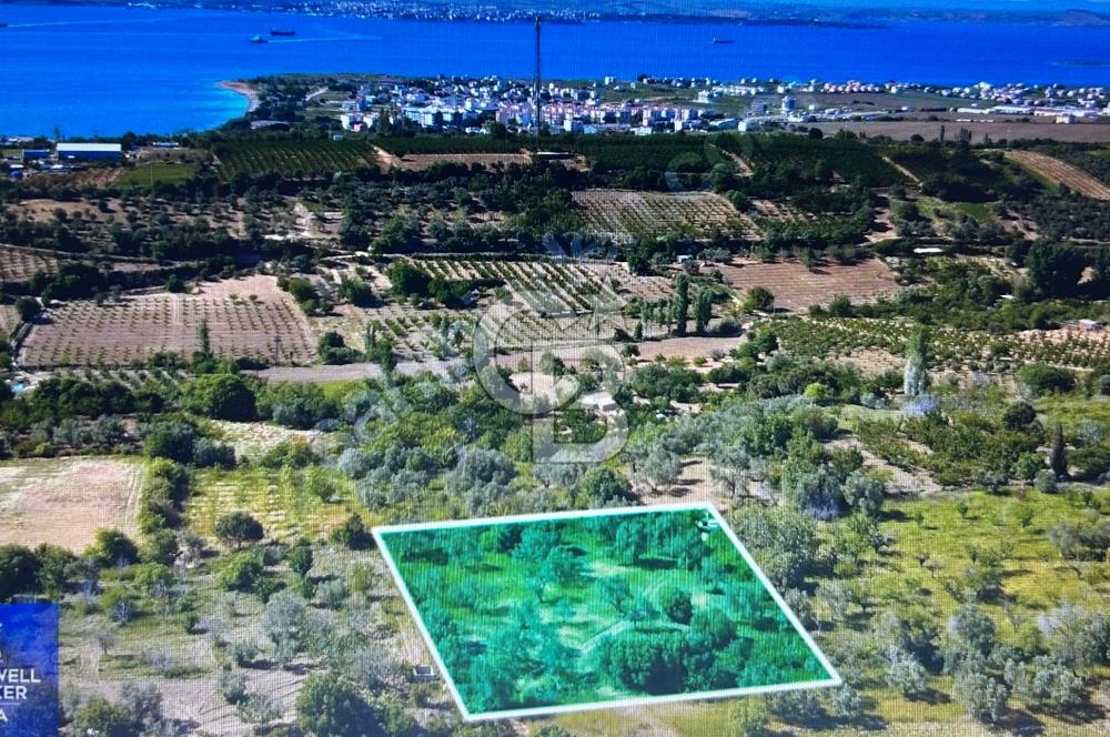 Çanakkale Lapseki Cumhuriyet Mahallesinde Boğaz Manzaralı Tarla