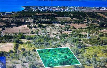 Çanakkale Lapseki Cumhuriyet Mahallesinde Boğaz Manzaralı Tarla