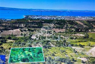 Çanakkale Lapseki Cumhuriyet Mahallesinde Boğaz Manzaralı Tarla - 1 - 315925