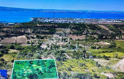 Çanakkale Lapseki Cumhuriyet Mahallesinde Boğaz Manzaralı Tarla