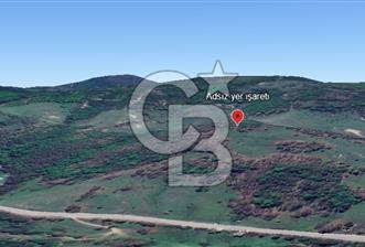 CB TOWER KOCAELİ KÖRFEZ DEREKÖY'DE SATILIK İMARLI 1156 M2 ARSA - 1 - 315921