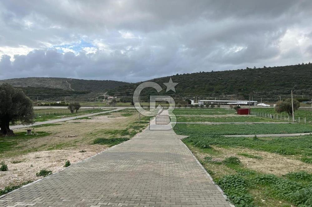 Urla Demircilide Deniz Manzaralı, Tiny House İçin Uygun Arsa