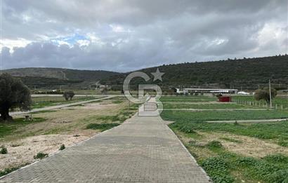 Urla Demircilide Deniz Manzaralı, Tiny House İçin Uygun Arsa