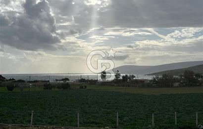 Urla Demircilide Deniz Manzaralı, Tiny House İçin Uygun Arsa