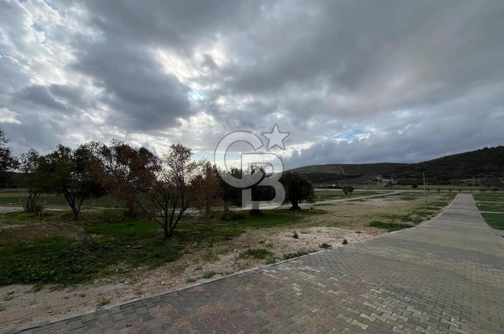 Urla Demircilide Deniz Manzaralı, Tiny House İçin Uygun Arsa