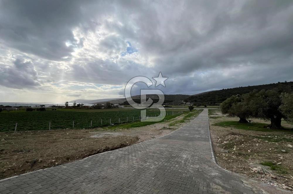 Urla Demircilide Deniz Manzaralı, Tiny House İçin Uygun Arsa