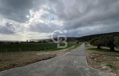 Urla Demircilide Deniz Manzaralı, Tiny House İçin Uygun Arsa