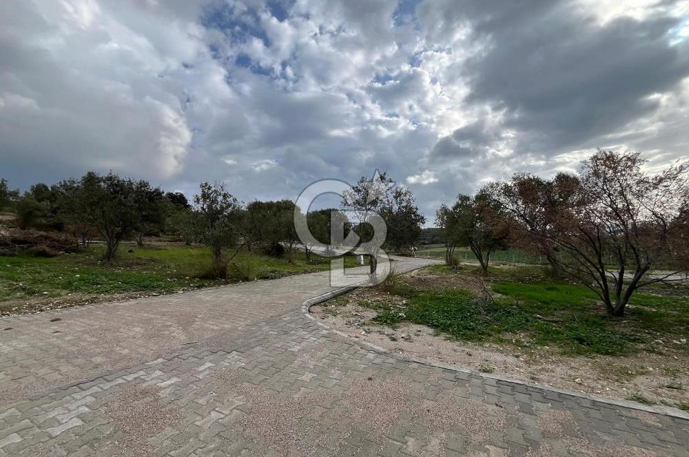 Urla Demircilide Deniz Manzaralı, Tiny House İçin Uygun Arsa