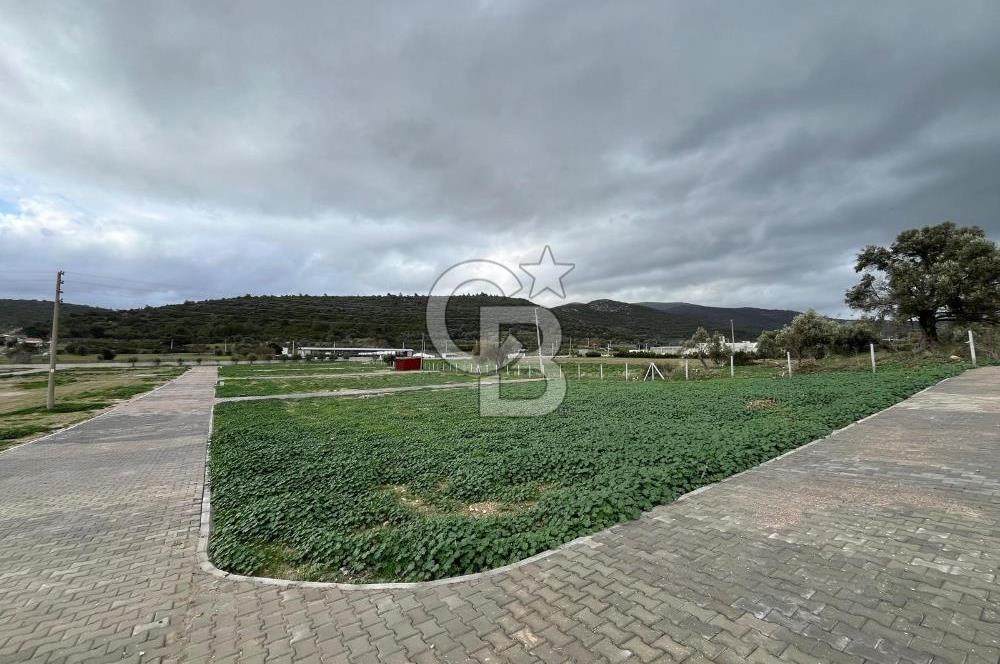 Urla Demircilide Deniz Manzaralı, Tiny House İçin Uygun Arsa
