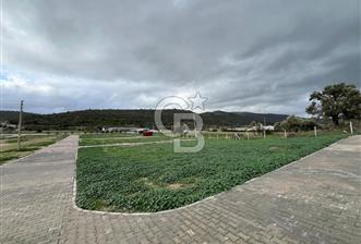 Urla Demircilide Deniz Manzaralı, Tiny House İçin Uygun Arsa - 1 - 315913