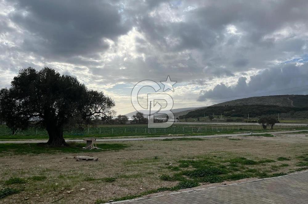 Urla Demircilide Deniz Manzaralı, Tiny House İçin Uygun Arsa