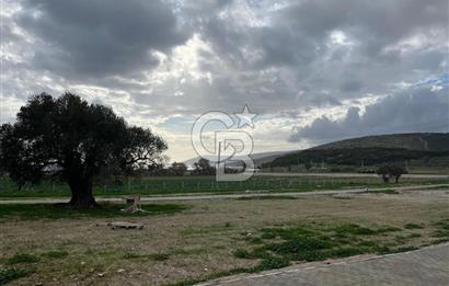 Urla Demircilide Deniz Manzaralı, Tiny House İçin Uygun Arsa