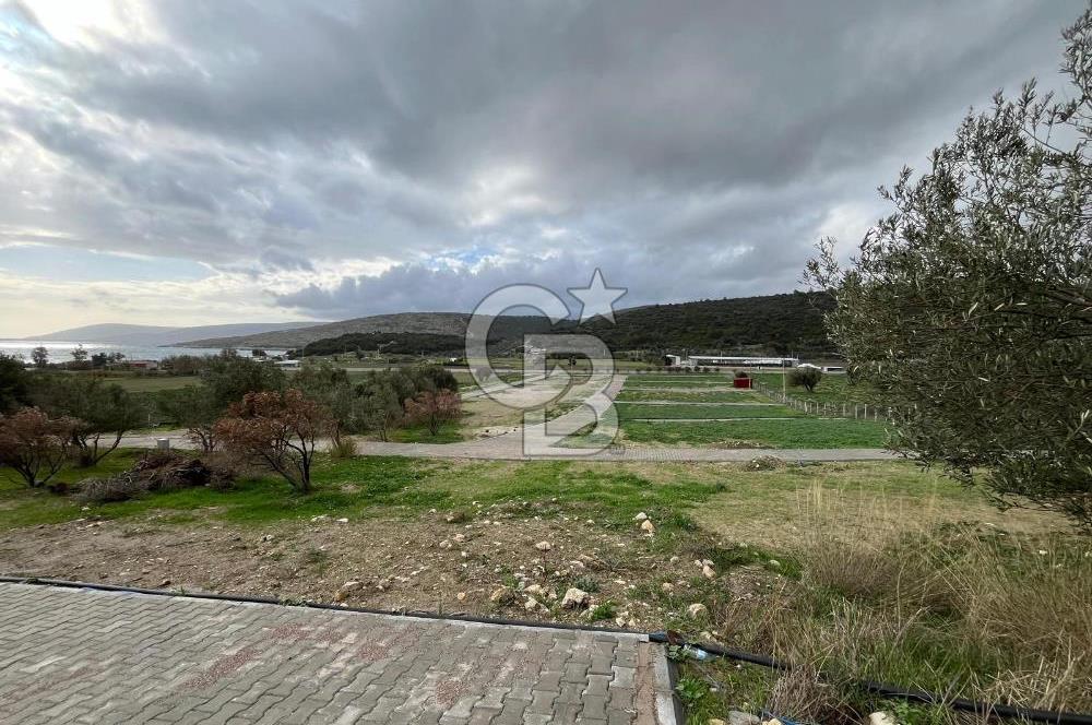 Urla Demircilide Deniz Manzaralı, Tiny House İçin Uygun Arsa