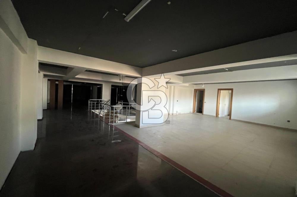 Pelitlibağ Mah. Cadde Üzeri 600 M² Kiralık İşyeri