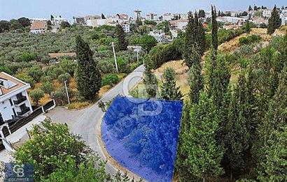 CB ENVOY'dan Karamürsel Kayacık'ta Deniz Manzaralı 511m2 Arsa