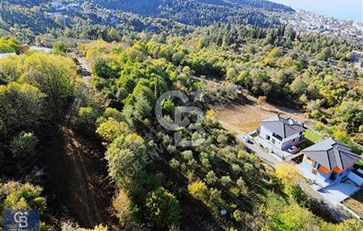 CB ENVOY'dan Gölcük Ulaşlı'da 513m2 İmarlı Arsa