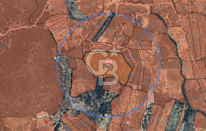 Torbalı Çapak Satılık Tarla Yatırımcıların Dikkatine!