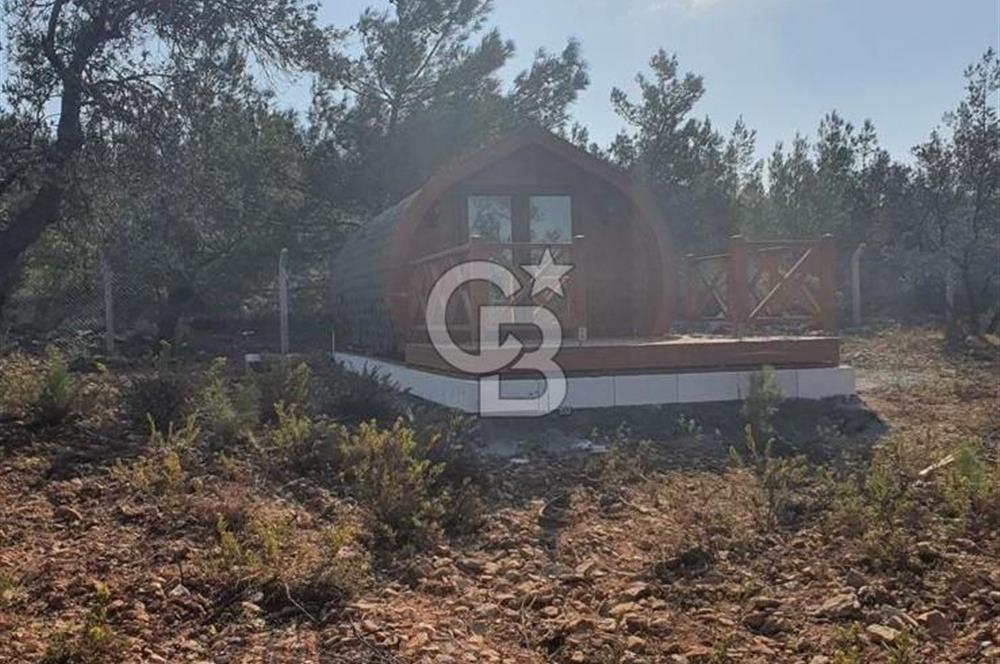 Cunda Namık Kemal mah. kadastro yolu olan tel örgü ile çevrili 6380 m² deniz manzaralı zeytinlik