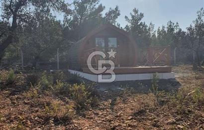 Cunda Namık Kemal mah. kadastro yolu olan tel örgü ile çevrili 6380 m² deniz manzaralı zeytinlik