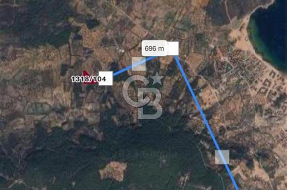 Cunda Namık Kemal mah. kadastro yolu olan tel örgü ile çevrili 6380 m² deniz manzaralı zeytinlik