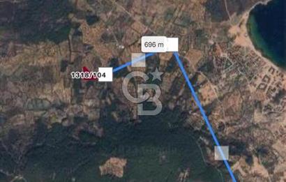 Cunda Namık Kemal mah. kadastro yolu olan tel örgü ile çevrili 6380 m² deniz manzaralı zeytinlik