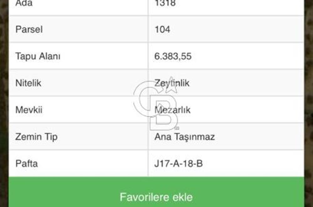 Cunda Namık Kemal mah. kadastro yolu olan tel örgü ile çevrili 6380 m² deniz manzaralı zeytinlik