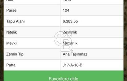 Cunda Namık Kemal mah. kadastro yolu olan tel örgü ile çevrili 6380 m² deniz manzaralı zeytinlik