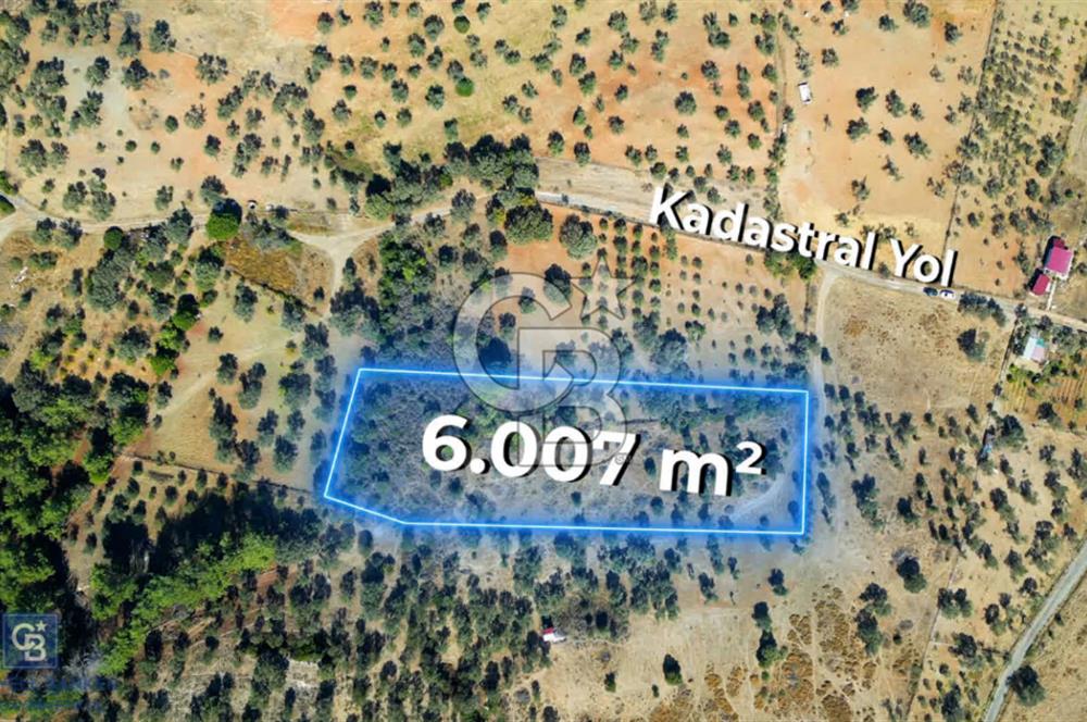 İzmir Güzelbahçe Yelki'de 'ÇOK UYGUN FİYATA' Satılık Arsa