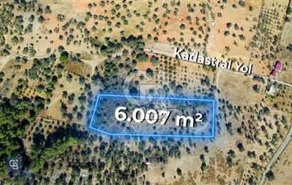 İzmir Güzelbahçe Yelki'de 'ÇOK UYGUN FİYATA' Satılık Arsa