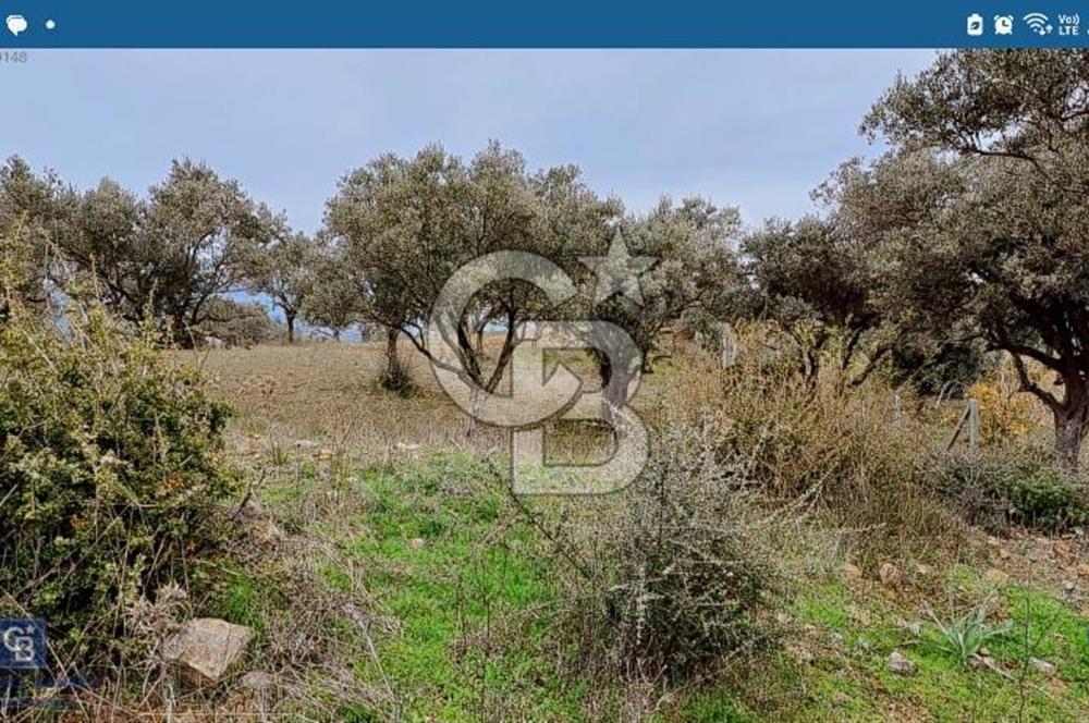 Torbalı Çapak Satılık Tarla Yatırımcıların Dikkatine!