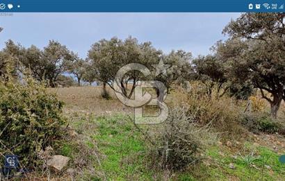 Torbalı Çapak Satılık Tarla Yatırımcıların Dikkatine!