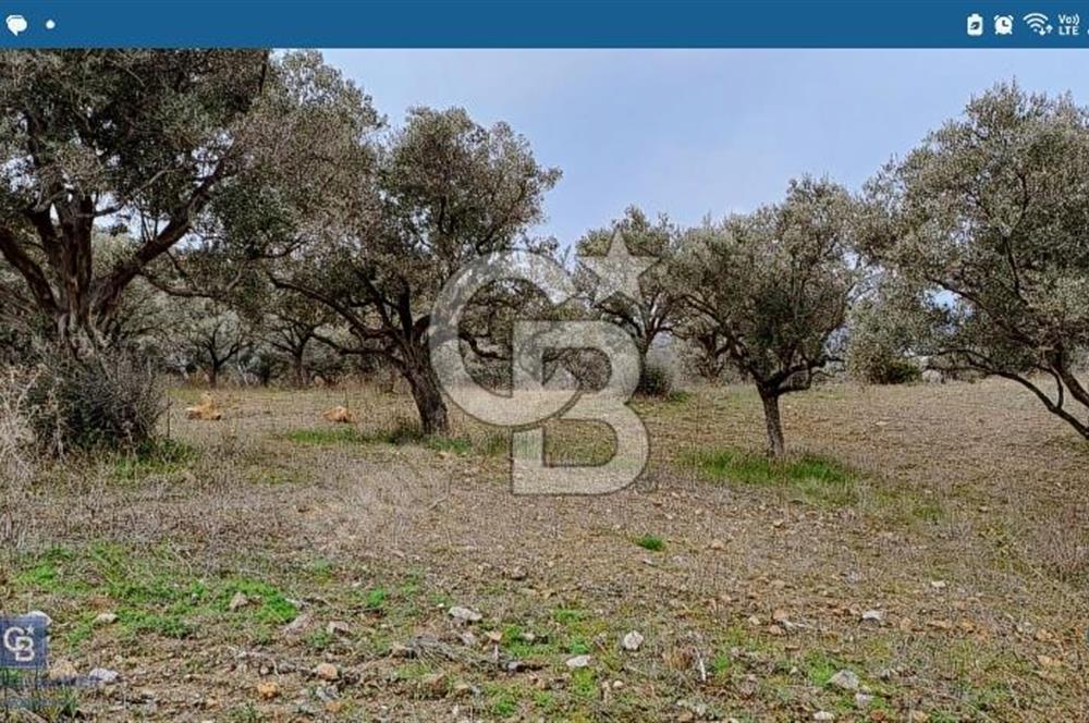 Torbalı Çapak Satılık Tarla Yatırımcıların Dikkatine!