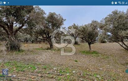 Torbalı Çapak Satılık Tarla Yatırımcıların Dikkatine!