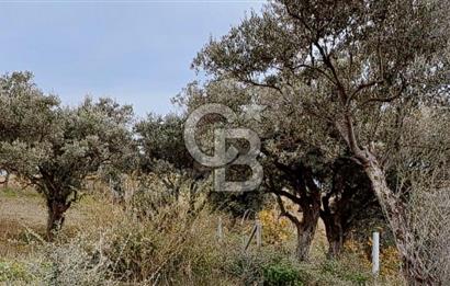 Torbalı Çapak Satılık Tarla Yatırımcıların Dikkatine!