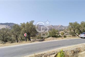 Asfalt yola 50 mt.cephesi olan zeytinlik - 3 - 316001